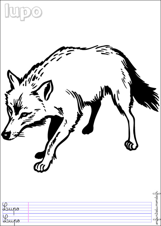 coloriage loup 1